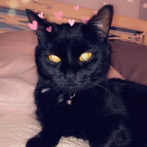 Meet your Posher, Mia